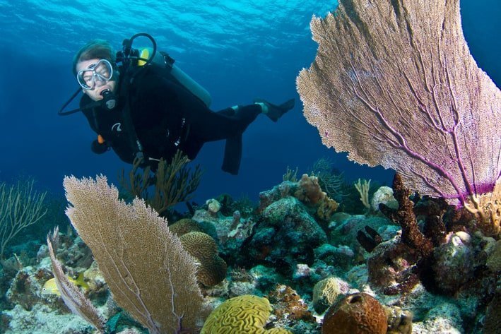 Scuba Diving in Playa del Carmen