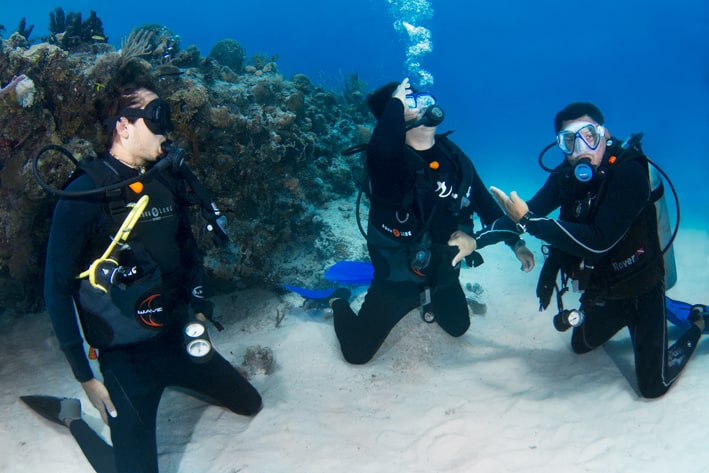 Scuba Diver PADI - Mexico Blue Dream